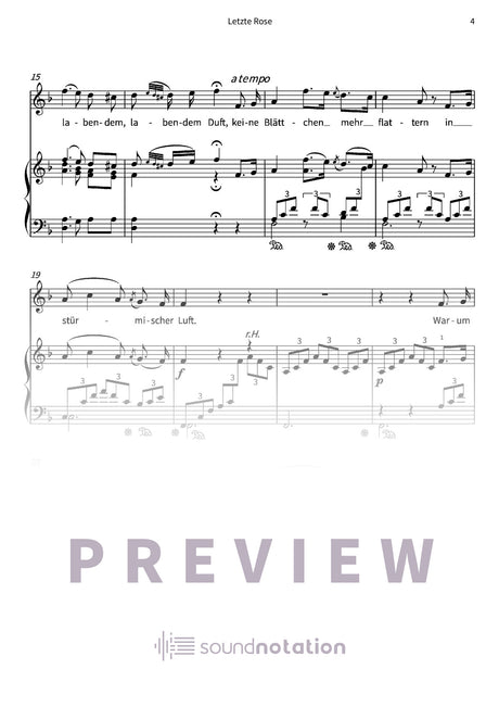 Letzte Rose - Preview Page 2