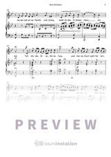 Nixe Binsefuss - Preview Page 2