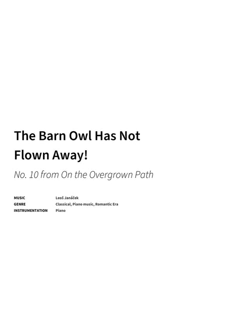 The Barn Owl Has Not Flown Away! - Title Page